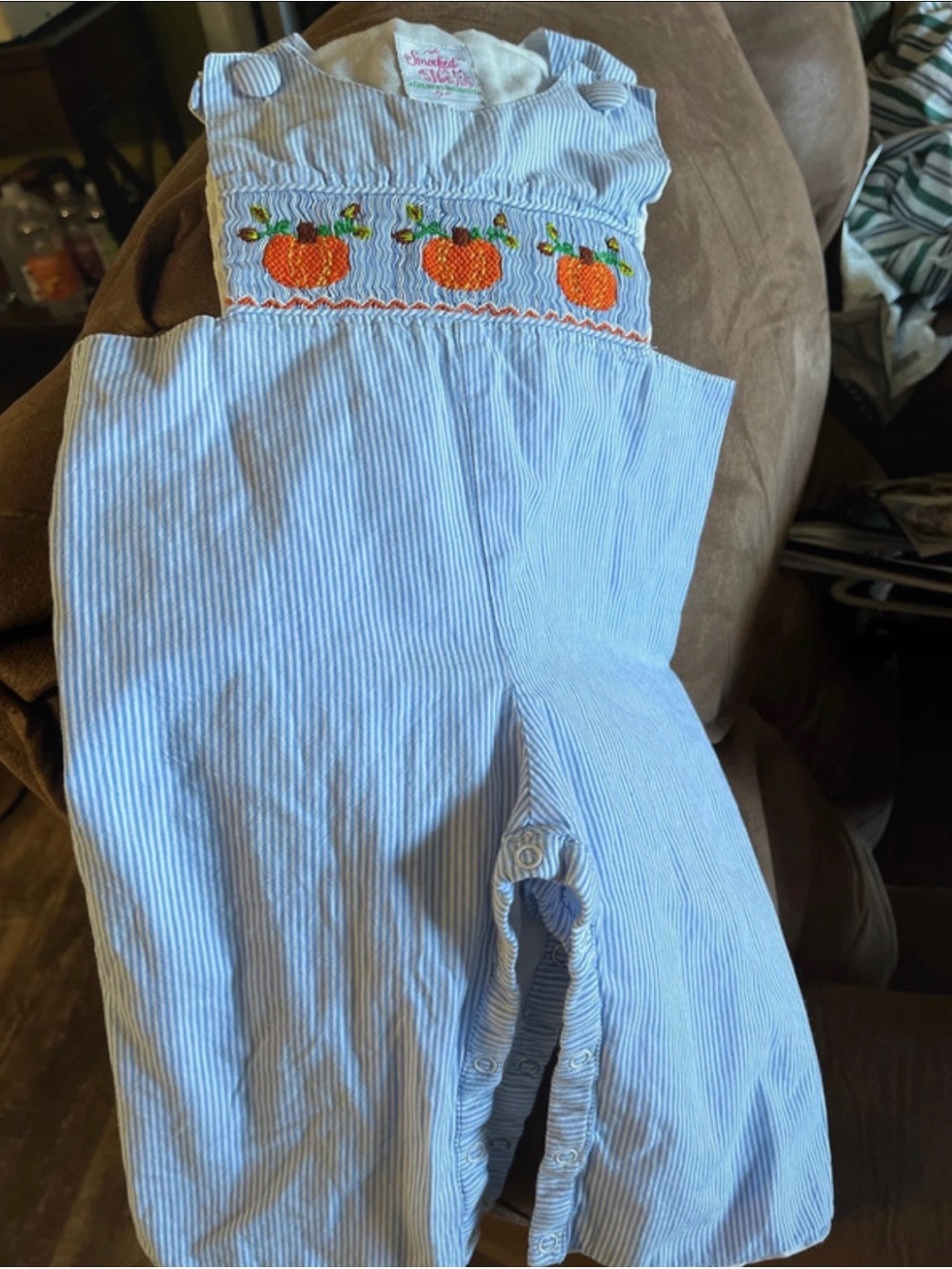 Light Blue Striped Baby Pumpkin Smocked Long all